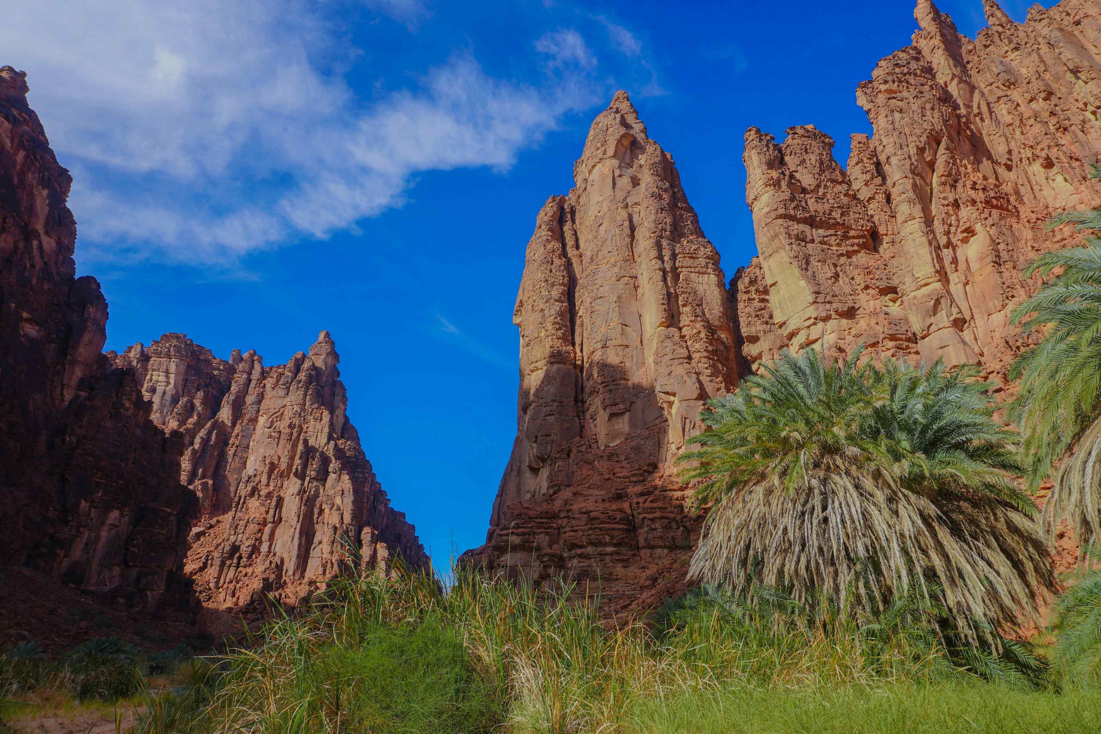 Our Story